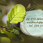 W Olchach - Lokal Klon