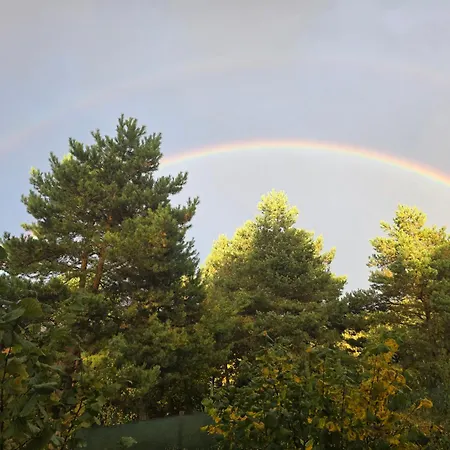 W Olchach - Lokal Klon