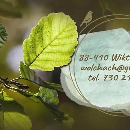 W Olchach - Lokal Klon