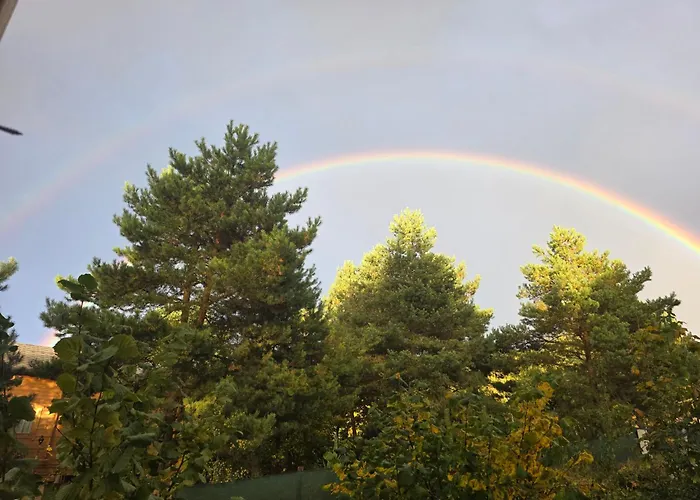 W Olchach - Lokal Klon