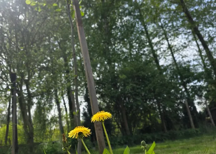 W Olchach - Lokal Klon * Wiktorowo